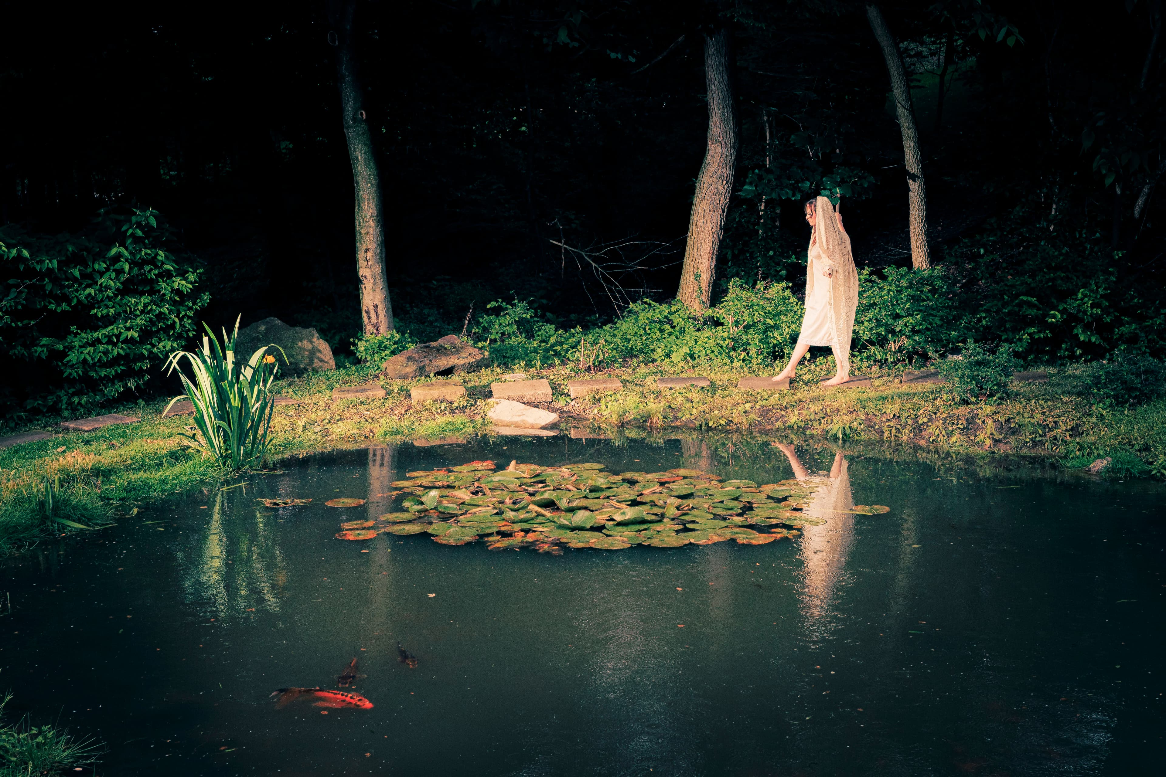 Stop being so Koi.